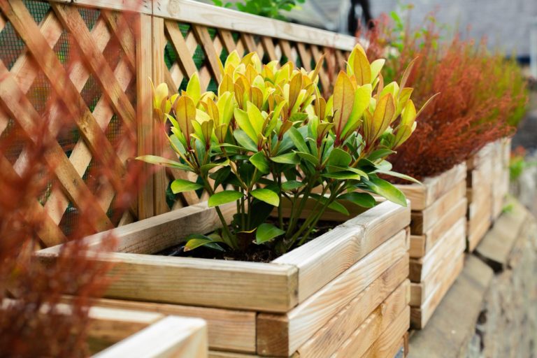 Guide pratique pour créer facilement vos jardinières en bois à la — free download