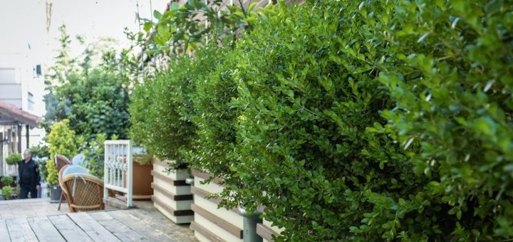 Guide pratique pour créer facilement votre propre jardinière en bois à la maison