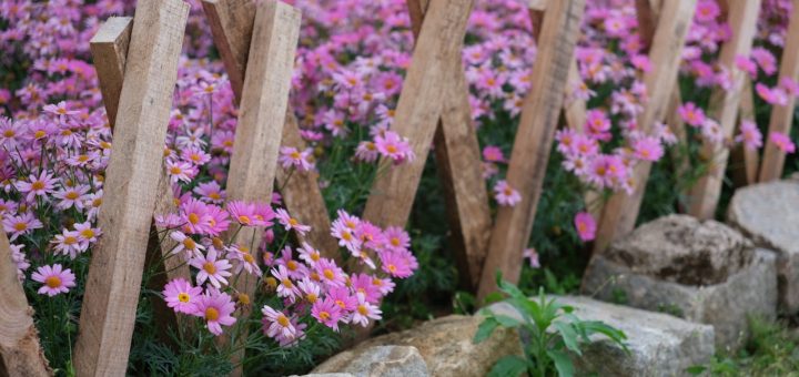 poser simplement une bordure de jardin en pierre