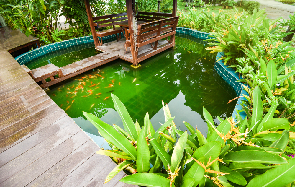 Astuces pour sublimer votre bassin de jardin avec une décoration naturelle et élégante